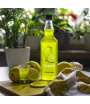 BROWIN BUTELKA Z NADRUKIEM CYTRYNÓWKA 500 ML