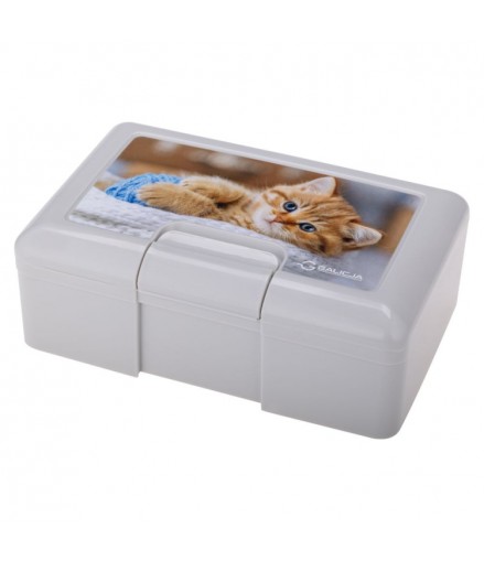 GALICJA JOY LUNCHBOX POJEMNIK NA ŻYWNOŚĆ 19,5 X 12,5 CM