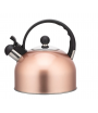ALTOM DAILY SATIN CZAJNIK NIERDZEWNY 2,5 L