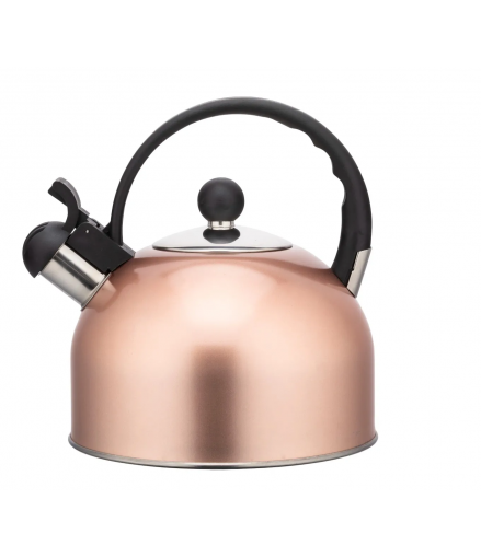 ALTOM DAILY SATIN CZAJNIK NIERDZEWNY 2,5 L