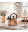 ALTOM DAILY SATIN CZAJNIK NIERDZEWNY 2,5 L