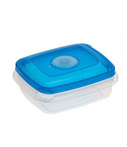 PLAST TEAM TOP BOX POJEMNIK 0,3 L